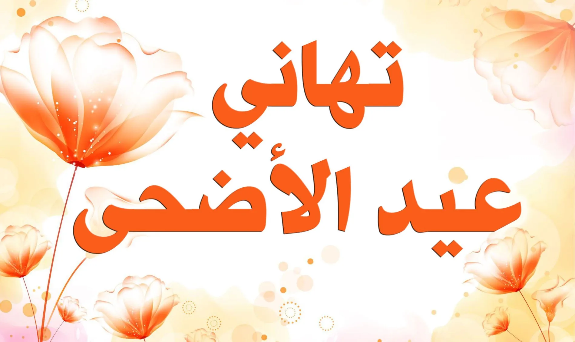 اجمل التهانى للعائلة والأحباب.. مسجات ورسائل تهنئة عيد الاضحي 2024-1445