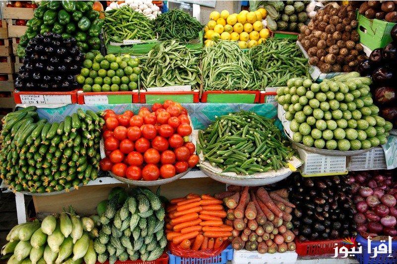 سعر الطماطم اليوم الاربعاء 25-9-2024 للمستهلك بجميع الاسواق المحلية