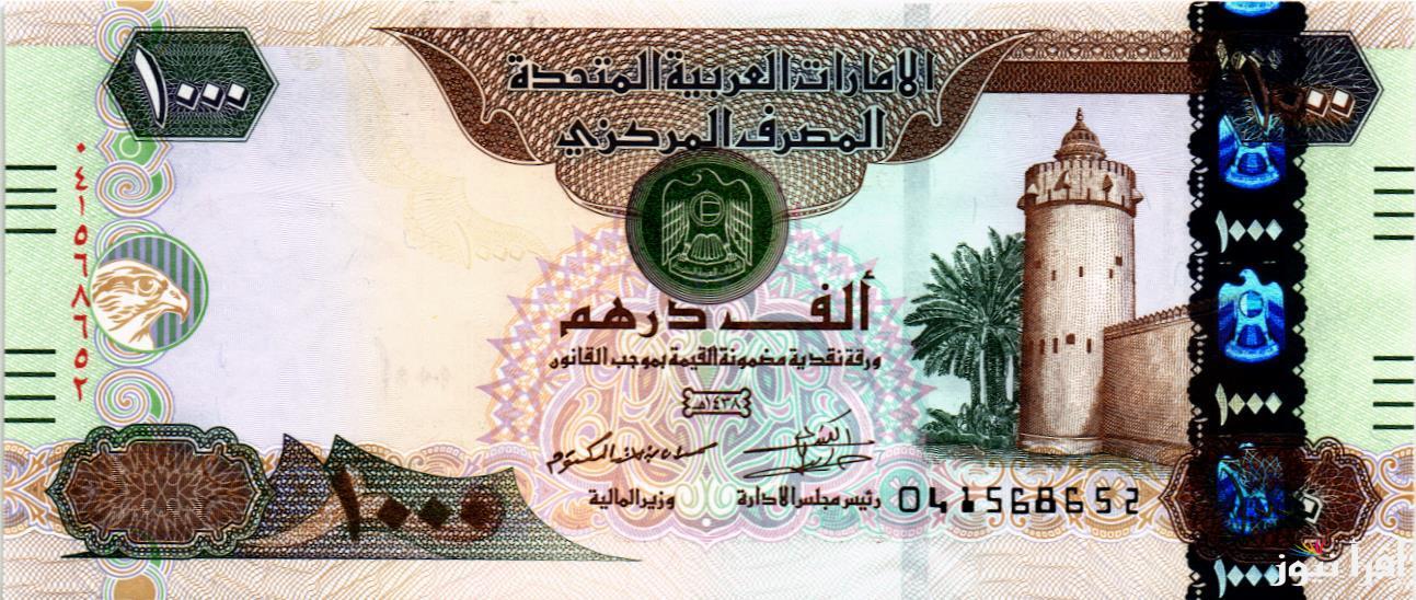 الاماراتي بكام؟ سعر الدرهم الاماراتي اليوم الخميس 19 سبتمبر 2024 في البنوك المصرية والسوق السوداء
