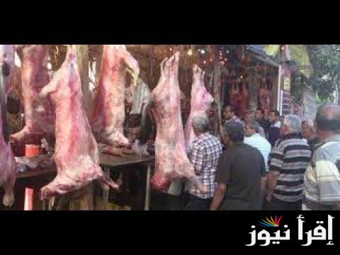 “الضاني ب420” سعر كيلو اللحمة اليوم السبت الموافق 21 سبتمبر 2024 في محلات الجزارة والمنافذ الحكومية