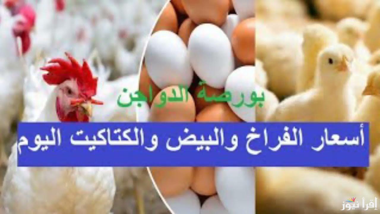 بورصة الدواجن اليوم أسعار الفراخ البيضاء الأربعاء 25 سبتمبر 2024 وفي الأسواق للمستهلك