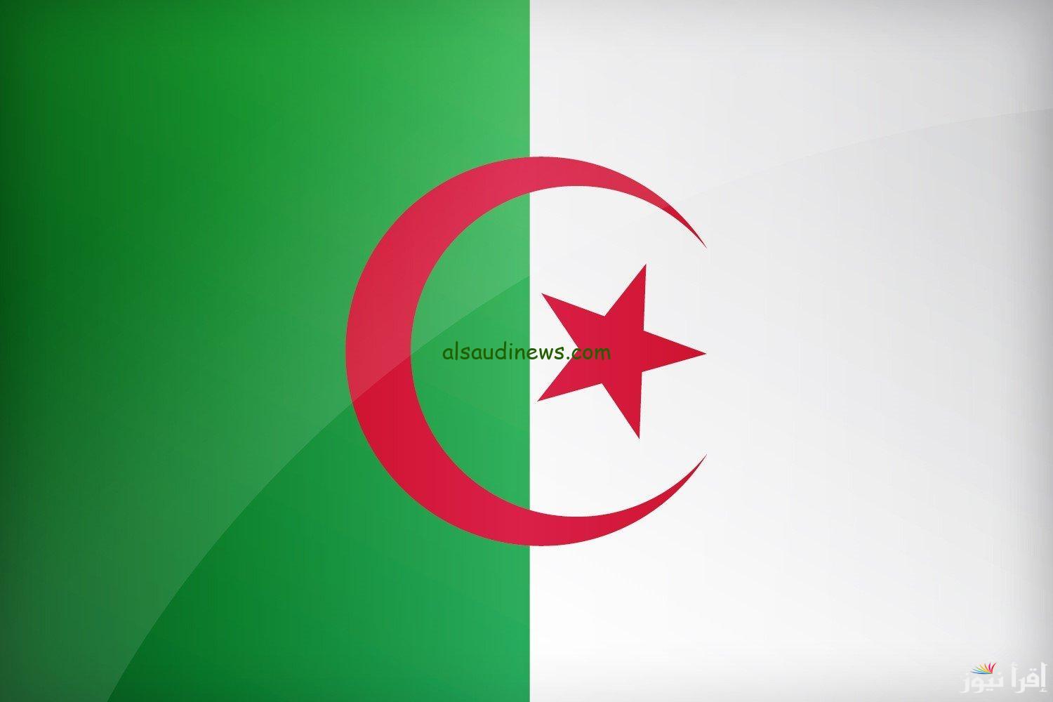منحة هامة للنساء.. خطوات التسجيل في منحة المرأة الماكثة بالبيت في الجزائر وأبرز الشروط اللازمة
