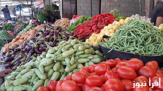 اخر الاسعار الان .. جدول أسعار الخضار اليوم الخميس 24 اكتوبر 2024 واسعار الفواكه داخل الاسواق