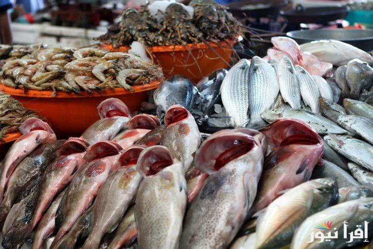 أسعار السمك اليوم الاربعاء 23 أكتوبر 2024 في مصر داخل سوق العبور للمستهلك