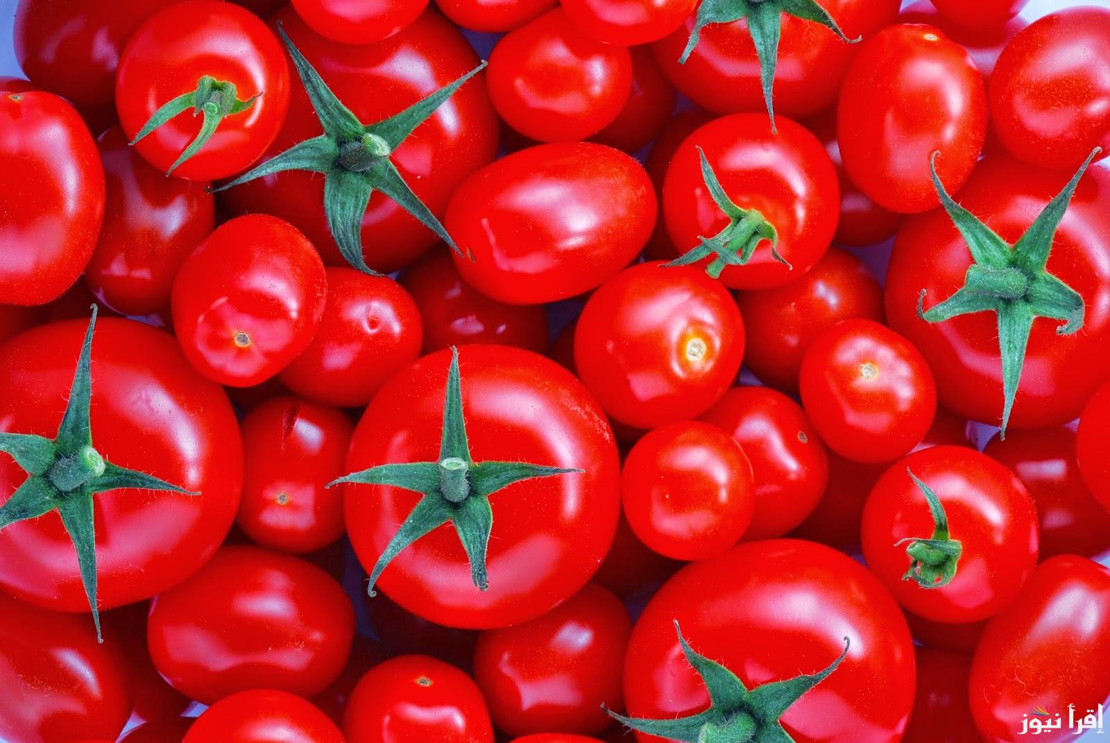 NEW tomatoes..سعر كيلو الطماطم اليوم الخميس الموافق 24 اكتوبر 2024  فى محلات الخضرى والفاكهة