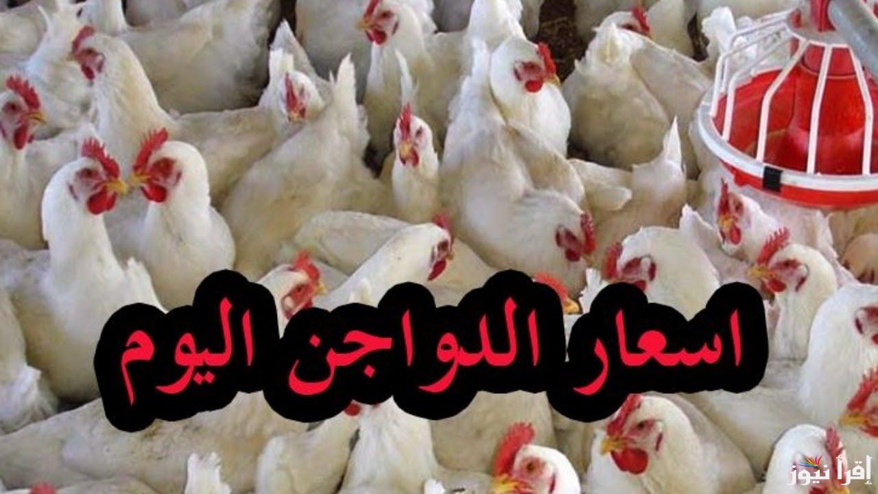 “اشتريلك فرختين يا ست الكل” بورصة الدواجن اليوم أسعار الفراخ البيضاء الأحد 20 أكتوبر 2024 في الأسواق المحلية والمحلات التجارية