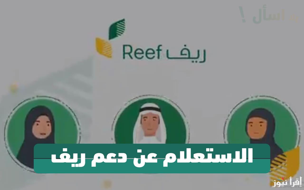 Here .. رابط الاستعلام عن دعم ريف وموعد نزوله وأهم الشروط المطلوبة