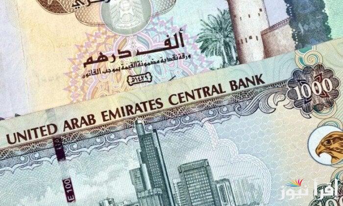 الخليجي استقر .. سعر الدرهم الاماراتي مقابل الجنيه المصري في السوق السوداء اليوم السبت 30 نوفمبر 2024