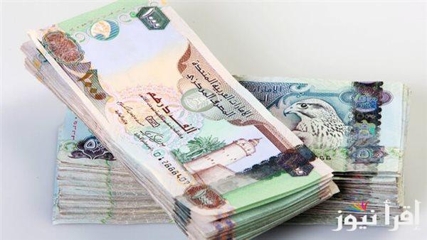 تراجع طفيف .. 1000 درهم إماراتي كم جنيه مصري اليوم الثلاثاء 3 ديسمبر 2024 في السوق السوداء والبنوك المختلفة