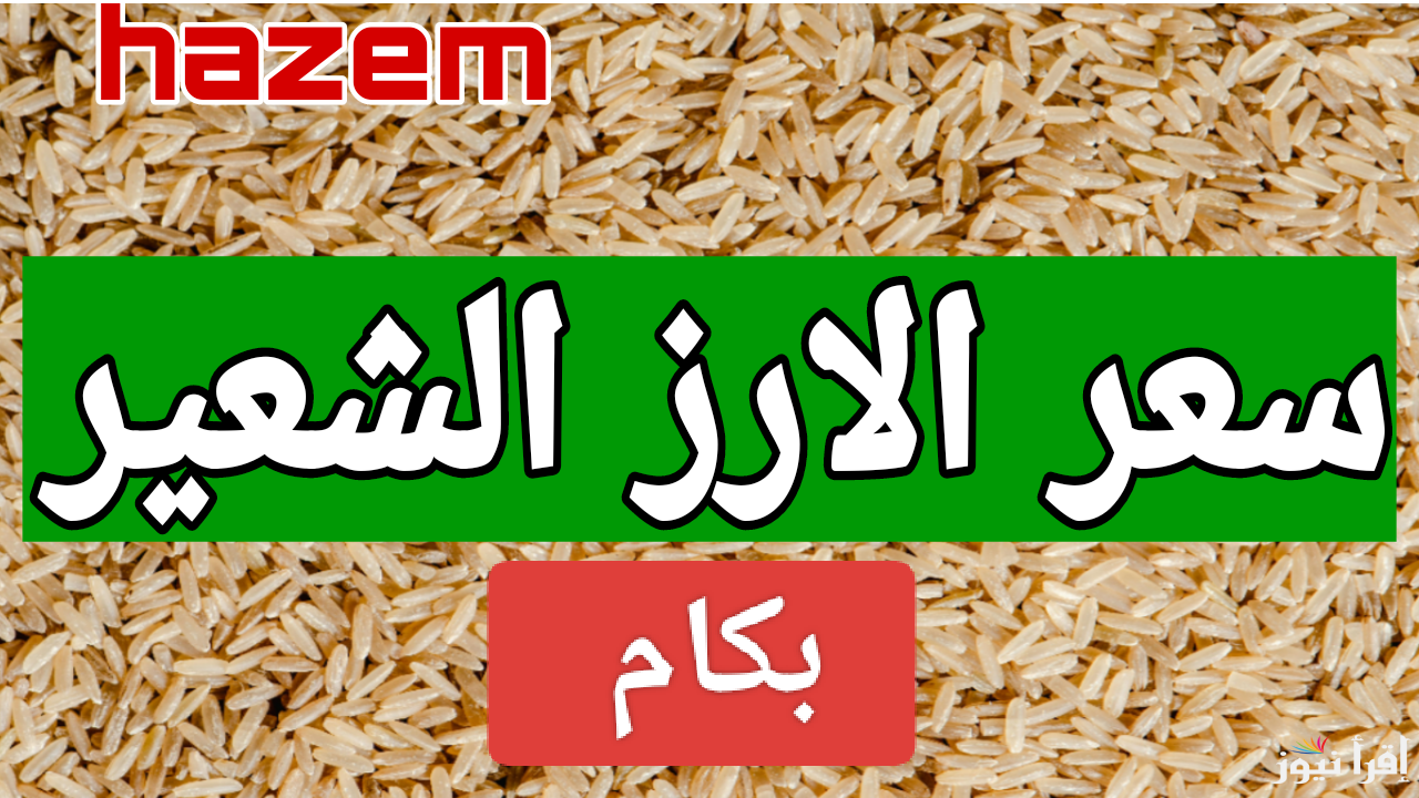 المطبخ هيقف.. سعر طن الأرز الشعير اليوم الخميس 12 ديسمبر لعام 2024 في السوق المحلي المصري
