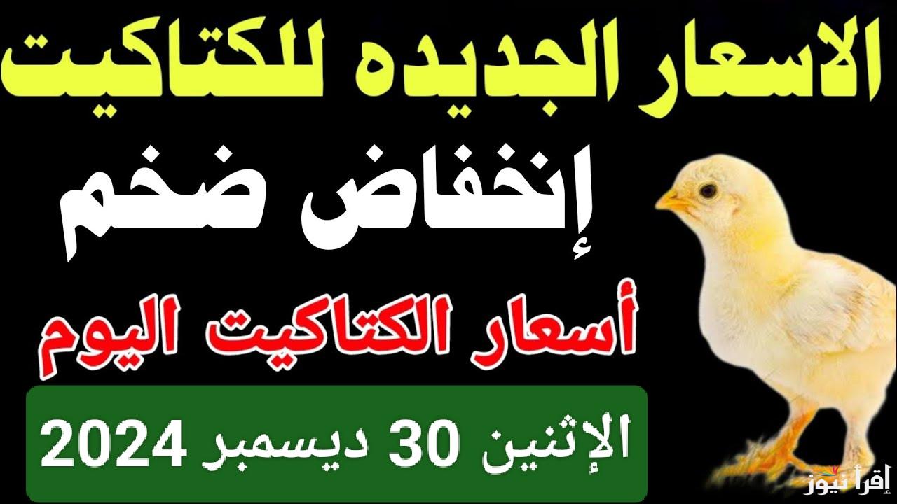 الساسو البيور بكام.. أسعار الكتاكيت اليوم الإثنين 30 ديسمبر 2024 في مصر