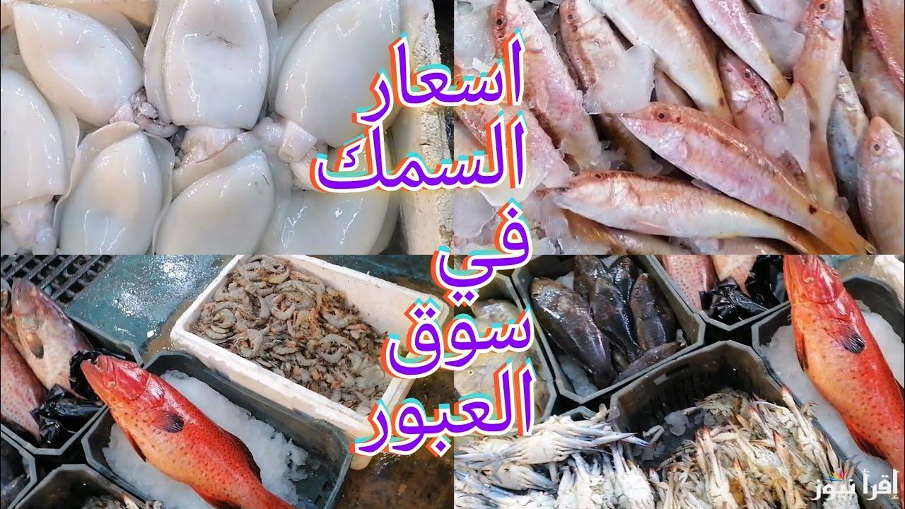 الجمبري والبلطي اسعارهم طارت.. تعرف على اسعار السمك اليوم الإربعاء 11 ديسمبر في الأسواق المصرية 