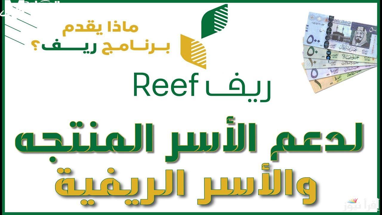 برقم الهوية .. الخطوات والشروط اللازمة حول الاستعلام عن دعم ريف 1446 بالمملكة عبر الرابط الرسمي reef.gov.sa