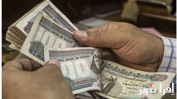 “بشري ساره” موعد صرف معاشات يناير 2025 وطريقه الاستعلام عنه من الموقع الرسمي لهيئة التأمينات nosi.gov.eg