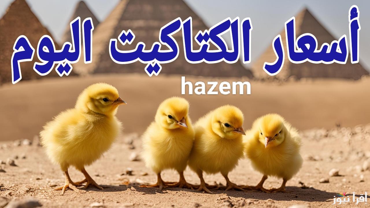 اشتري دلوقتي وربي قبل رمضان.. أسعار الكتاكيت اليوم الجمعة 24 يناير 2025 في جميع الأسواق المصرية 