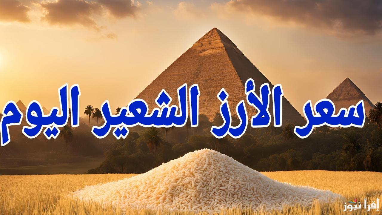 السوق هادي دلوقتي.. سعر طن الارز الشعير اليوم السبت 25 يناير 2025 في مصر