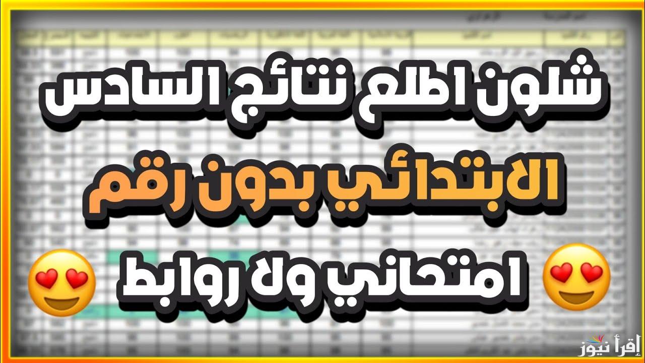 رابط مباشر.. نتائج السادس الابتدائي في العراق 2025 الدور الأول في العراق عند ظهورها