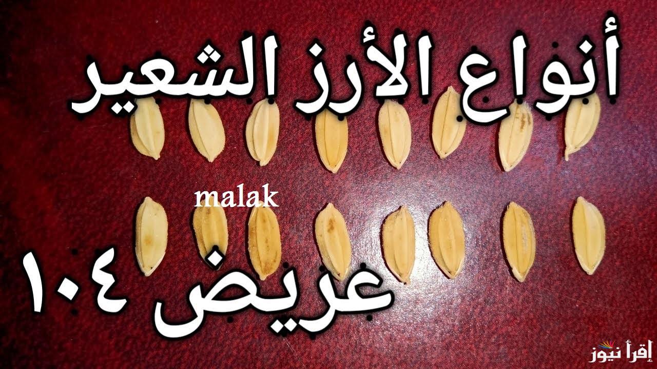 “رخص تاني الحقي اشتري” أسعار الأرز الشعير اليوم الاربعاء 29-1-2025 في بداية التعاملات الصباحية