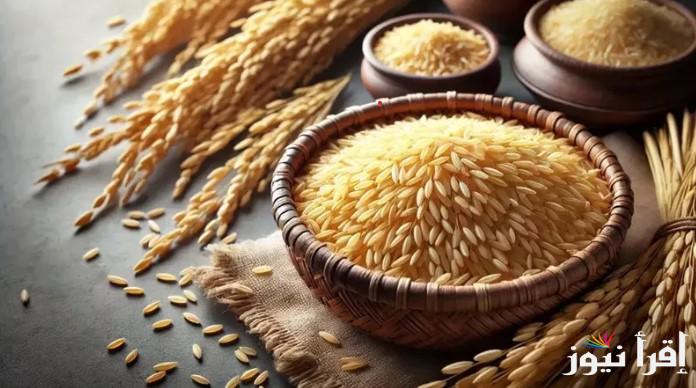 الضحى بكام النهاردة؟ .. أسعار الأرز الشعير اليوم الأربعاء 15 يناير 2025 وأسعار السلع الأساسية في الأسواق