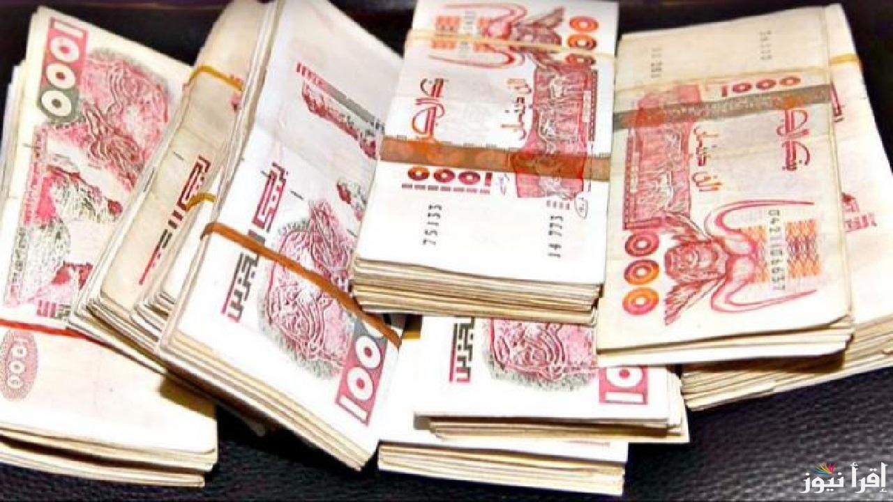 رابط تجديد منحة البطالة لعدم توقف الدعم وحقيقة زيادة قيمتها إلى 20.000 دينار جزائري