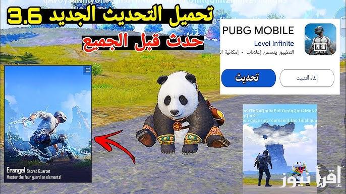 حدثها قبل الكل .. تحميل تحديث ببجي 3.6 2025 مود الباندا Pubg mobile واستمتع بتجربة فريدة من نوعها