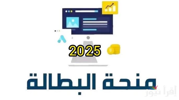 برابط مباشر .. خطوات تجديد منحة البطالة كل 6 أشهر 2025 عبر anem.dz وأهم الشروط المطلوبة