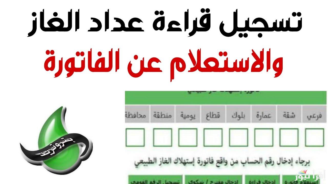 خطوات تسجيل قراءة العداد شركة بتروتريد لشهر يناير 2025 petrotrade.com.eg وطريقة السداد