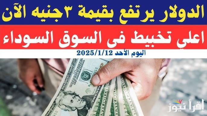 قفزة جديدة في العملة الخضراء .. سعر الدولار اليوم في السوق السوداء الأحد 12 يناير 2025