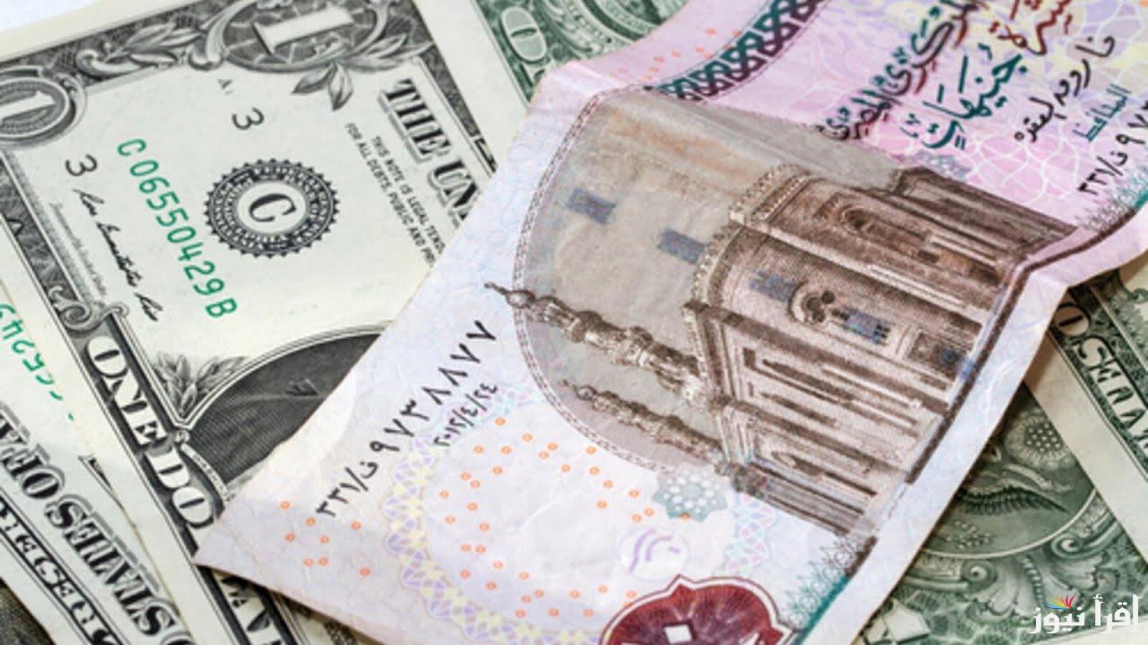 “الدولار يستقر في منتصف التعاملات.. سعر الدولار مقابل الجنيه المصري اليوم الأربعاء 29 يناير 2025 في البنوك