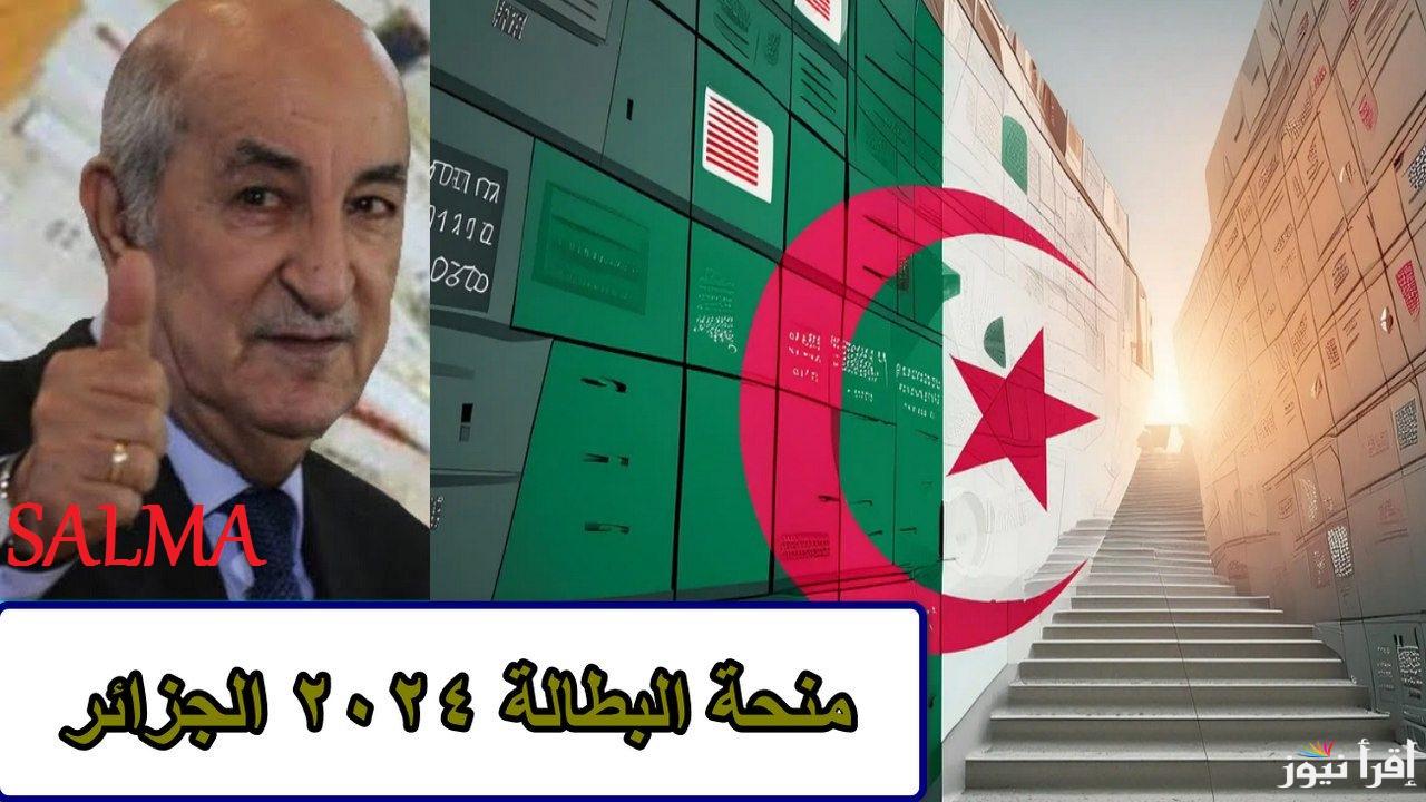 خطوات التسجيل في منحة البطالة في الجزائر 2025 وأهم الشروط والأوراق المطلوبة