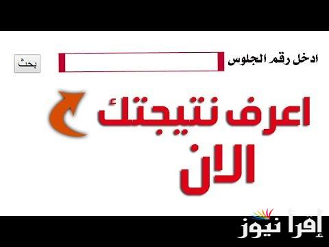 رابط مباشر .. نتيجه الصف الاول والثاني الاعدادي 2025 أستعلم بالاسم فقط عبر موقع نتيجتك الرسمي natigatk