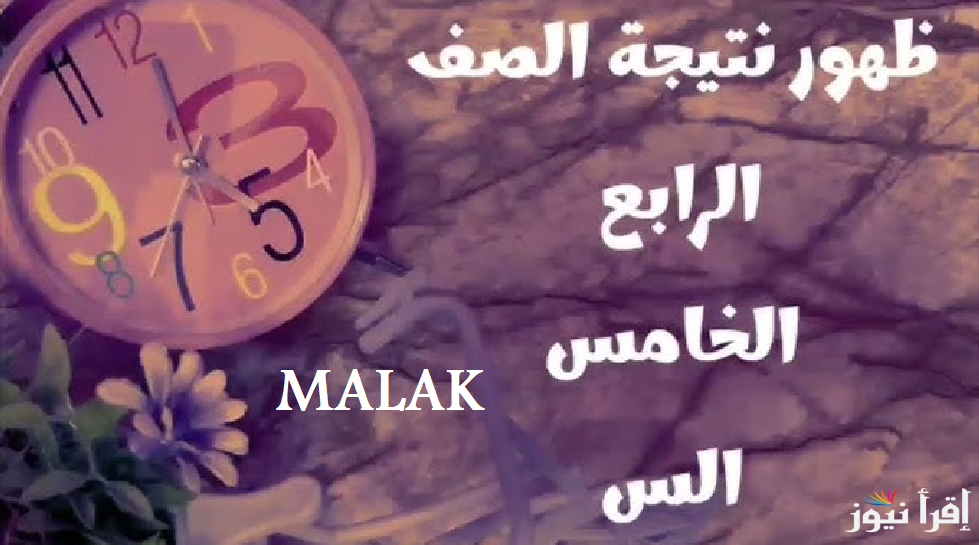 نتيجة الصف الرابع الابتدائي 2025 برقم الجلوس عبر بوابة التعليم الاساسي
