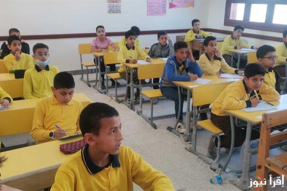 بالاسم ورقم الجلوس .. نتيجة الصف الرابع الابتدائي 2025 رابعة ابتدائي عبر الموقع eduserv.cairo.gov.eg