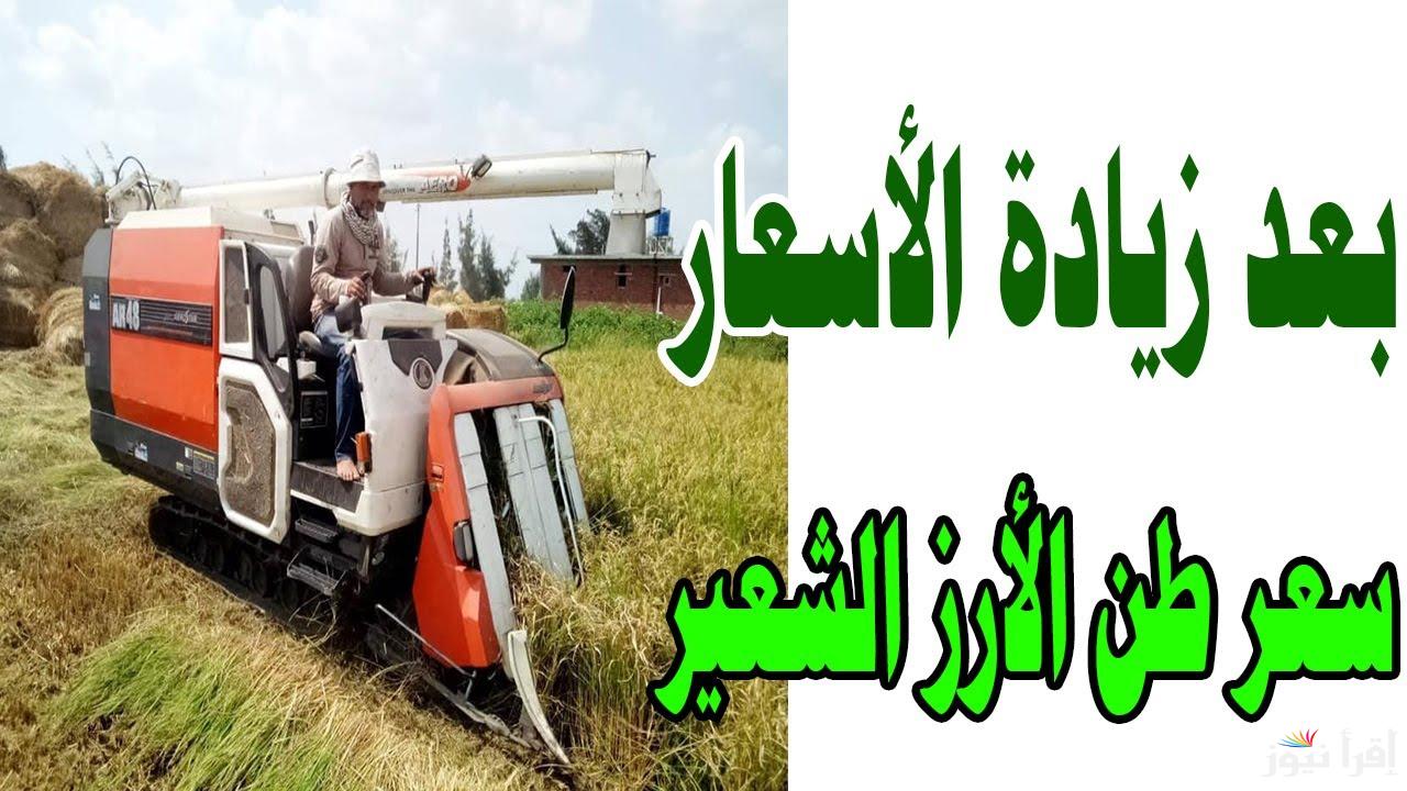 الكيلو وصل 29 جنيه.. سعر طن الأرز الشعير اليوم الجمعة 21 فبراير 2025