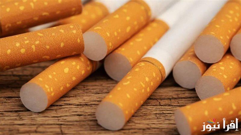 ” علبة ميرت بقت بـ 100 جنيه”  اسعار السجائر الجديدة 2025 وفقاً لقرار شركة الشرقية للدخان