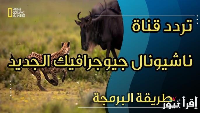الآن على نايل سات وعرب سات .. تردد قناة ناشيونال جيوغرافيك 2025 الجديد National Geographic Channel