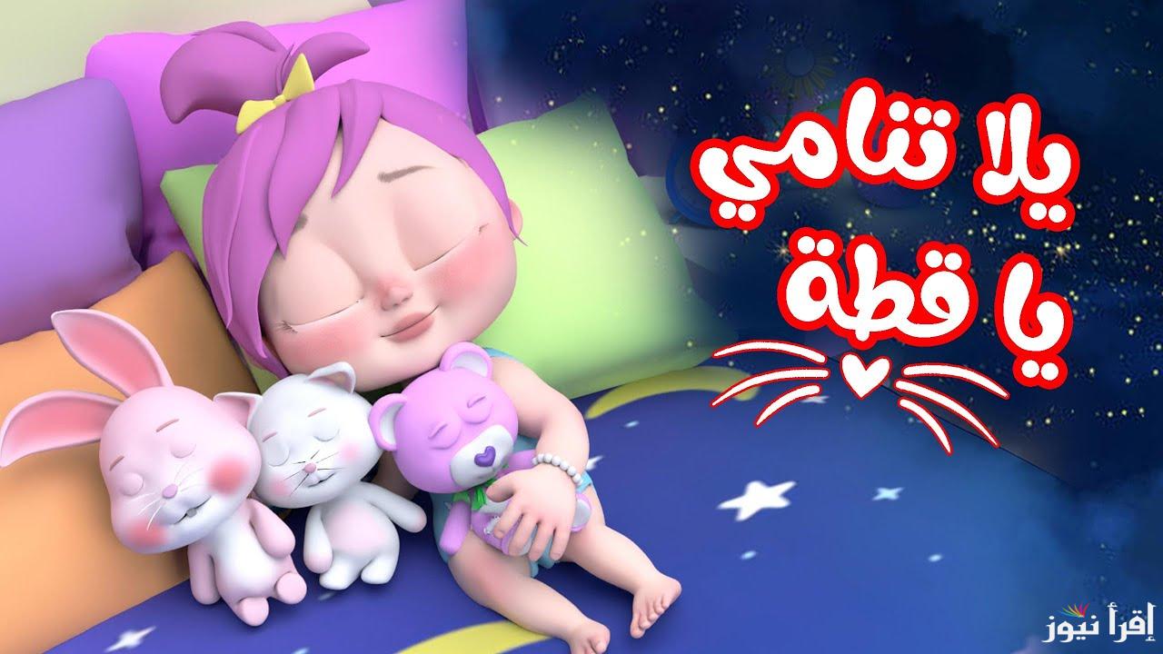 ” لولو والقطة ” تردد قناه وناسة 2025 Wanasah TV علي القمر الصناعي نايل سات وعرب سات