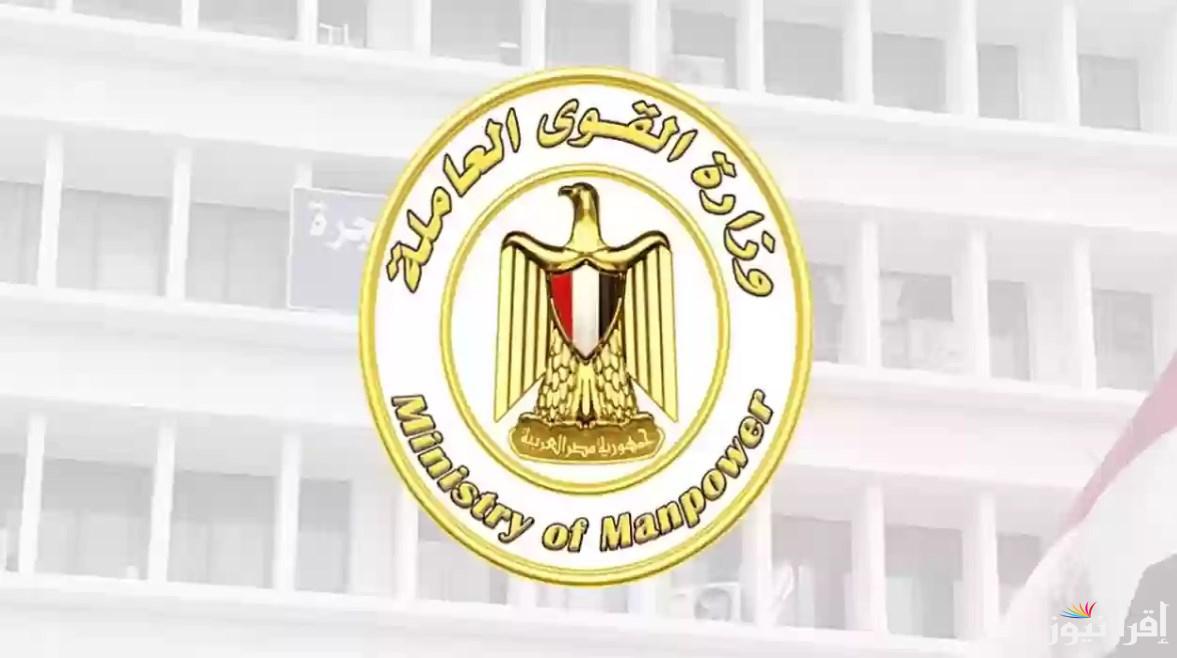 “1000 بدل 500 ” خطوات تسجيل بيانات العمالة الغير منتظمة من الموبايل 2025 منحة رمضان عبر موقع الوزارة الرسمي manpower.gov.eg