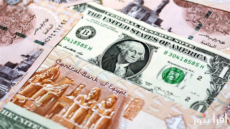 “الأمريكي راحت علية” سعر الدولار في السوق السوداء والبنوك التجارية اليوم السبت 8 فبراير 2025 مقابل الجنية المصري