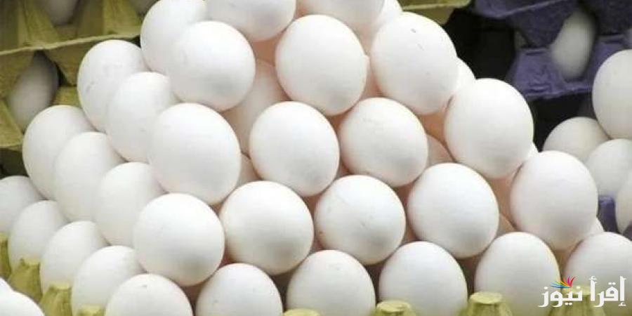 ترتفع بجنون| سعر كرتونة البيض اليوم للمستهلك الخميس 13 فبراير 2025 وأسعار الفراخ في بورصة الدواجن