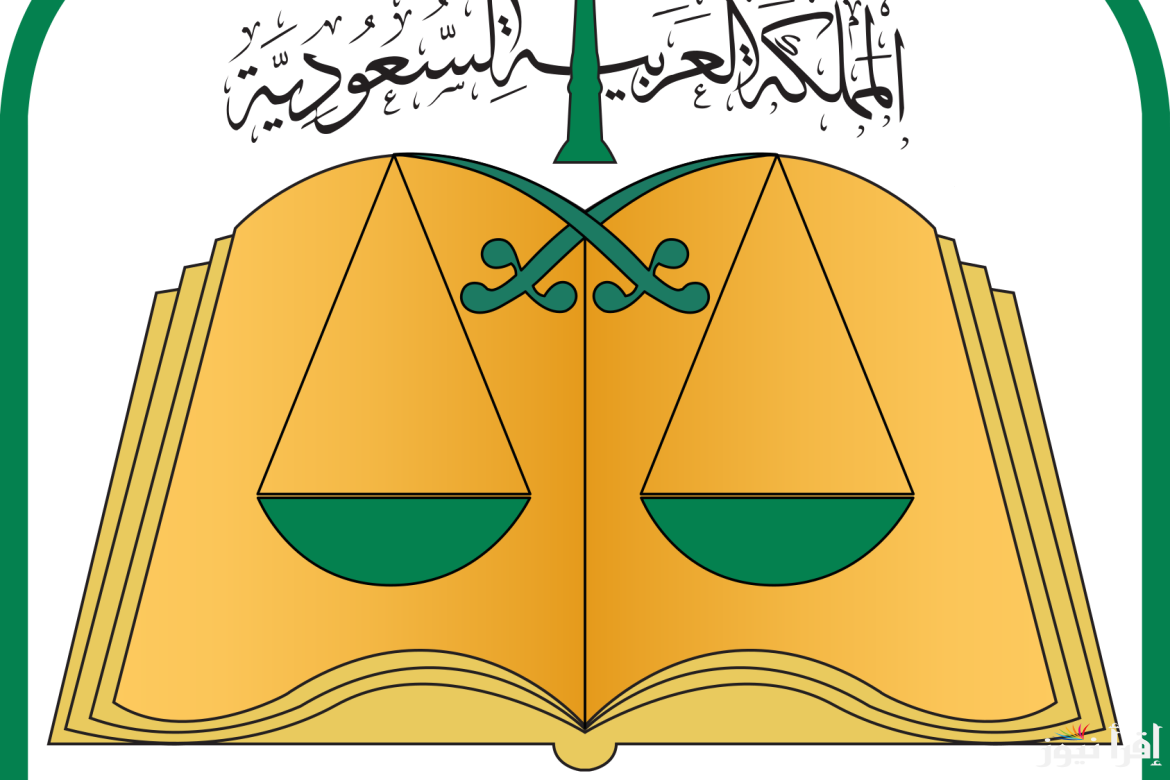 تفاصيل لائحة نظام الأحوال الشخصية بعد اعتمادها بموافقة ولي العهد