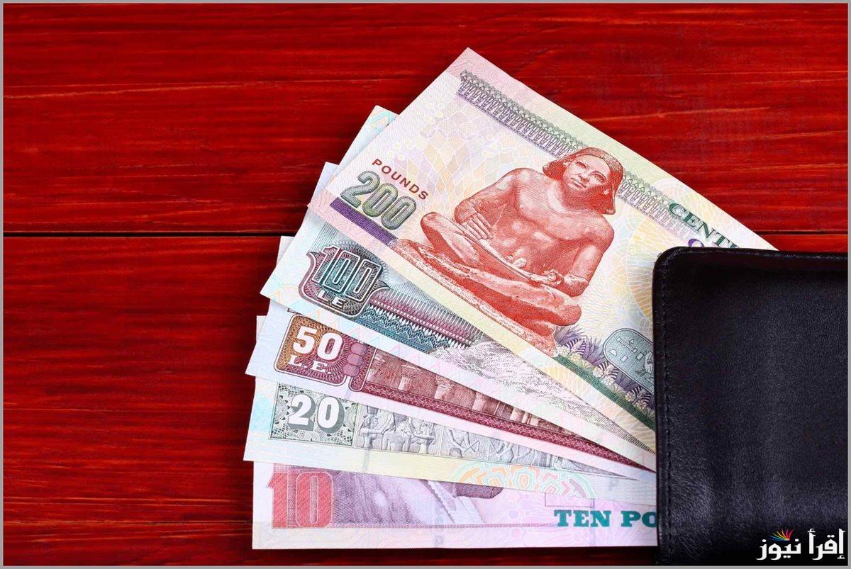“بشرى سارة” موعد صرف منحة العمالة الغير منتظمة دفعة شهر رمضان 2025 وخطوات التسجيل عبر موقع وزارة العمل manpower.gov.eg