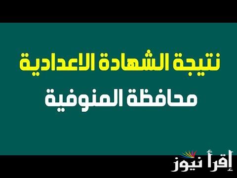 3ع.. نتيجة الثالث الإعدادي برقم الجلوس محافظة المنوفية 2025 رابط البوابة الإلكترونية وموعد ظهور النتائج