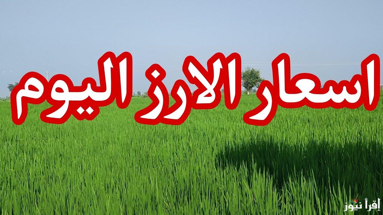 الطن وصل كام .. اسعار الأرز الشعير اليوم السبت 1 مارس 2025 داخل الأسواق المحلية