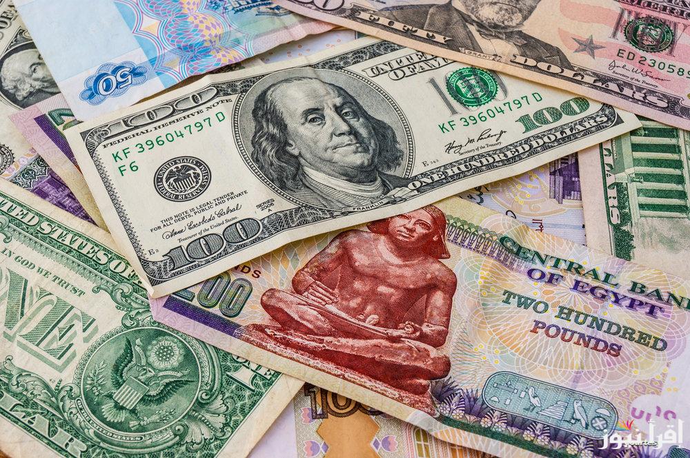 الأخضر ولع.. سعر الدولار في السوق السوداء اليوم الأحد 2 مارس 2025 مقابل الجنيه المصري