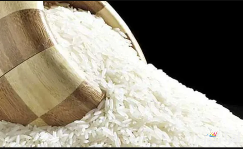 بكام سعر الكيلو؟ سعر طن الأرز الشعير اليوم الخميس الموافق 13 2025
