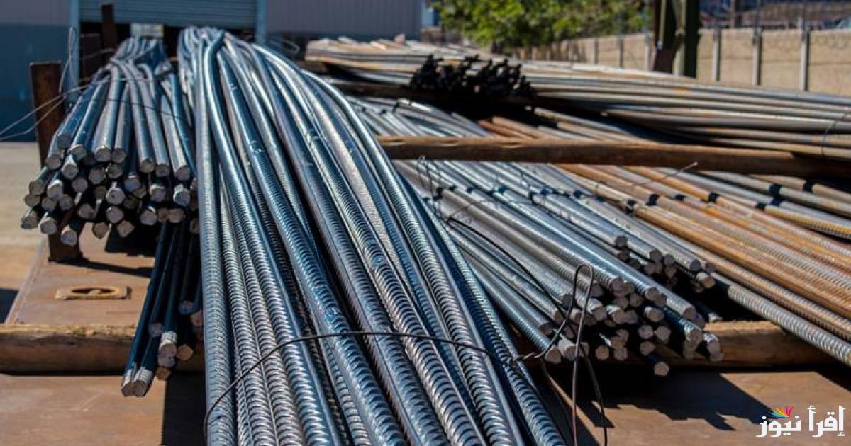 بكام الطن النهاردة؟|| سعر طن الحديد اليوم حديد عز الاثنين 17 مارس 2025 داخل سوق مواد البناء