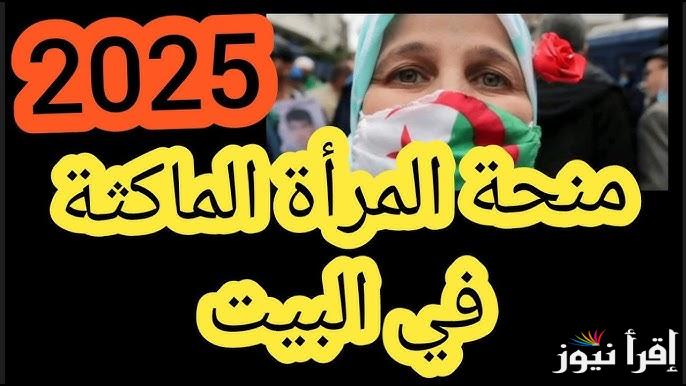 تطبق الشروط والاحكام .. كيفية التسجيل في منحة المراة الماكثة في البيت 2025 عبر موقع anem.dz