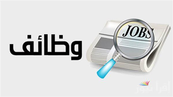 وظائف شاغرة في الجيزة | تفاصيل