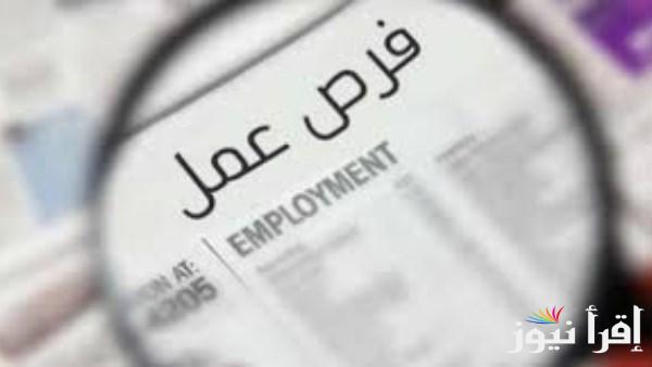 بنوك مصرية وأجنبية تفتح باب التوظيف للشباب وحديثي التخرج